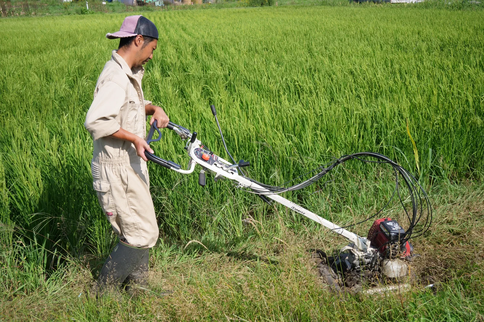 田畑のそばで草刈り機を操作する人物